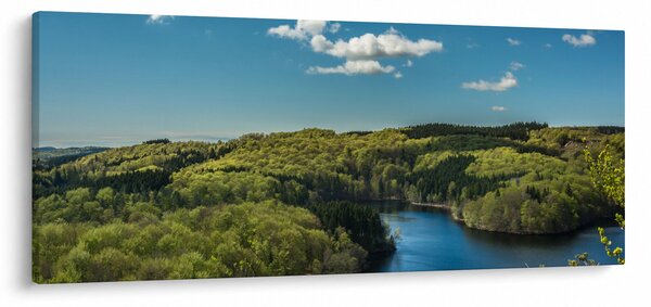 Obraz - Jazero v lesoch (120x50 cm)