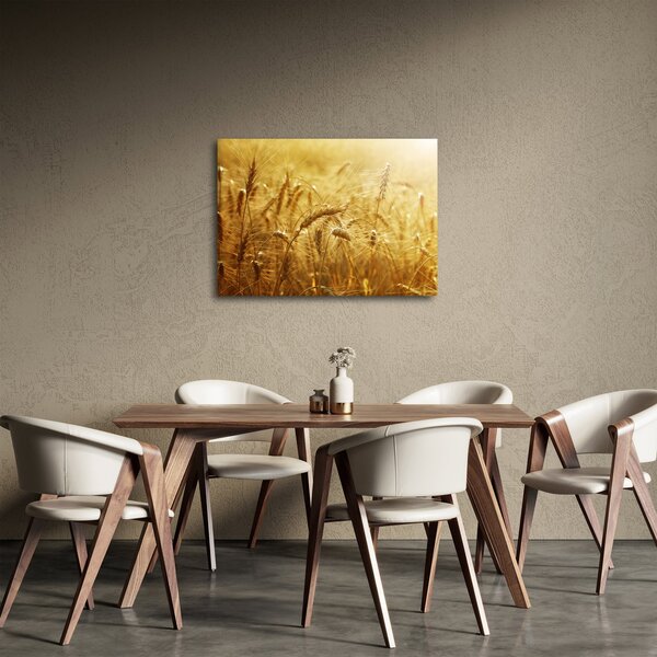 Obraz - Klasy obilia (70x50 cm)