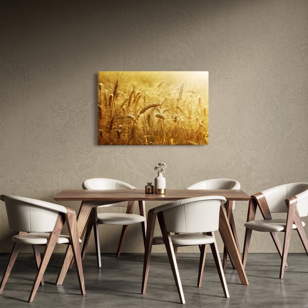 Obraz - Klasy obilia (90x60 cm)