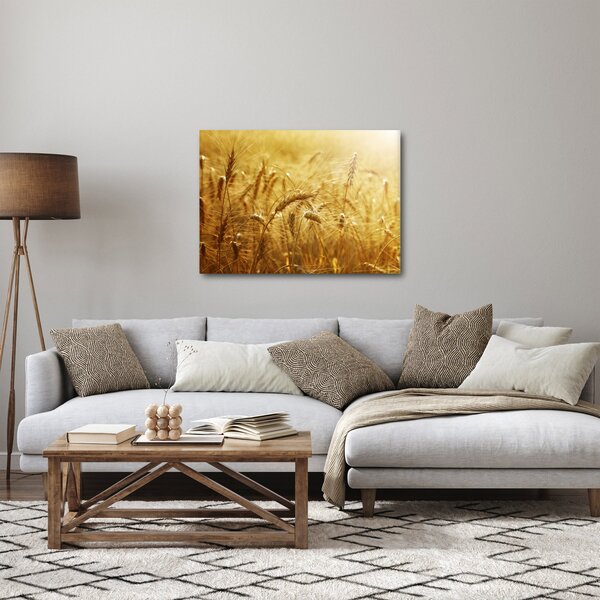 Obraz - Klasy obilia (70x50 cm)