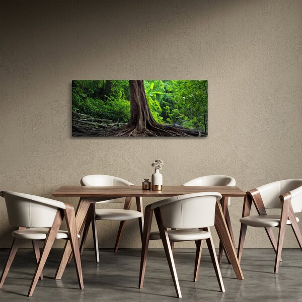 Obraz - Starý strom s koreňmi (120x50 cm)