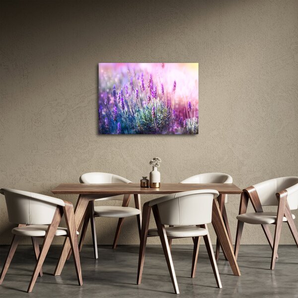 Obraz - Levanduľa vo trblietania slnka (70x50 cm)