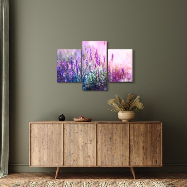 Obraz - Levanduľa vo trblietania slnka (90x60 cm)