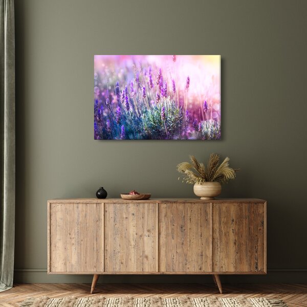 Obraz - Levanduľa vo trblietania slnka (90x60 cm)