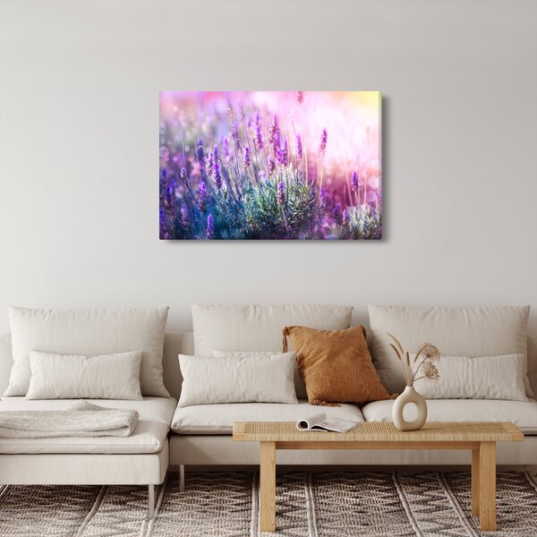 Obraz - Levanduľa vo trblietania slnka (90x60 cm)