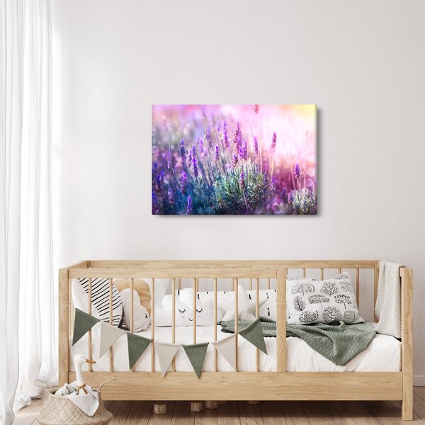 Obraz - Levanduľa vo trblietania slnka (90x60 cm)