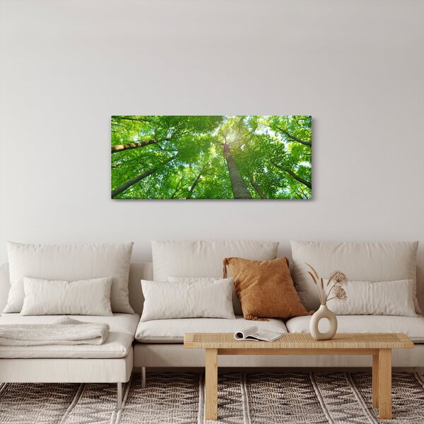 Obraz - Les (120x50 cm)