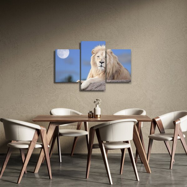 Obraz - Biely lev (90x60 cm)
