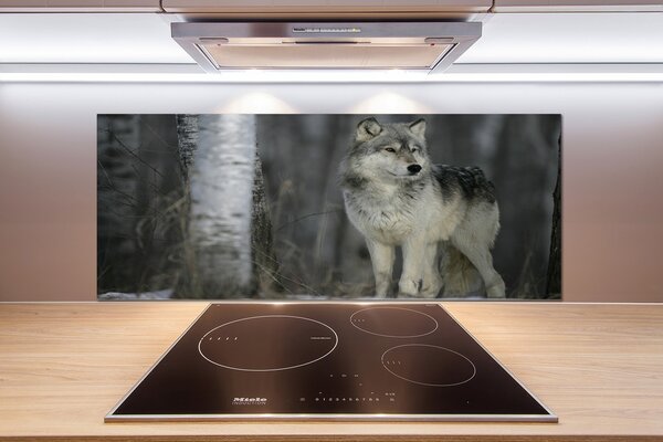 Dekoračný panel sklo Sivý vlk pl-pksh-125x50-f-57875164