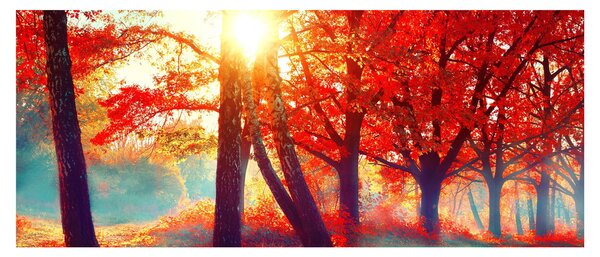 Obraz - Jesenná krajina (120x50 cm)