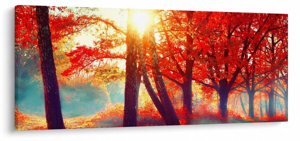 Obraz - Jesenná krajina (120x50 cm)