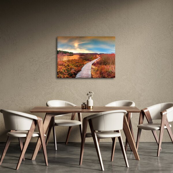 Obraz - Jesenná cesta krajinou (70x50 cm)