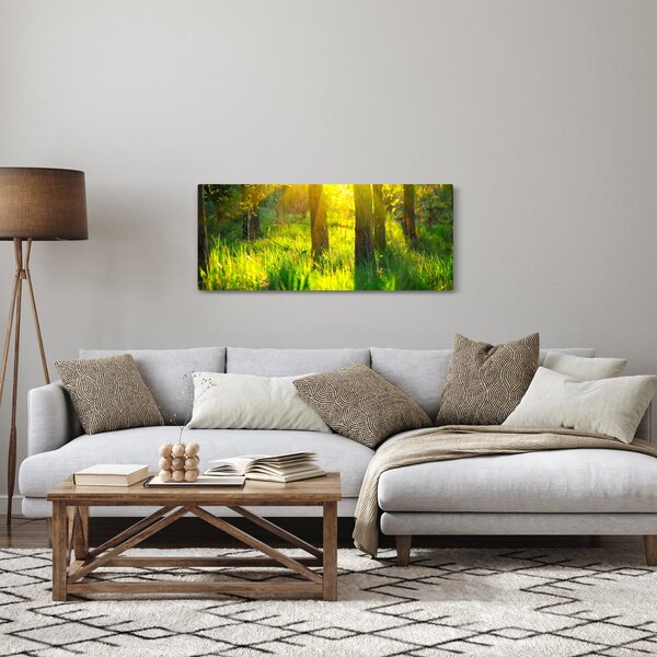 Obraz - Jarné prebúdzanie lesa (120x50 cm)