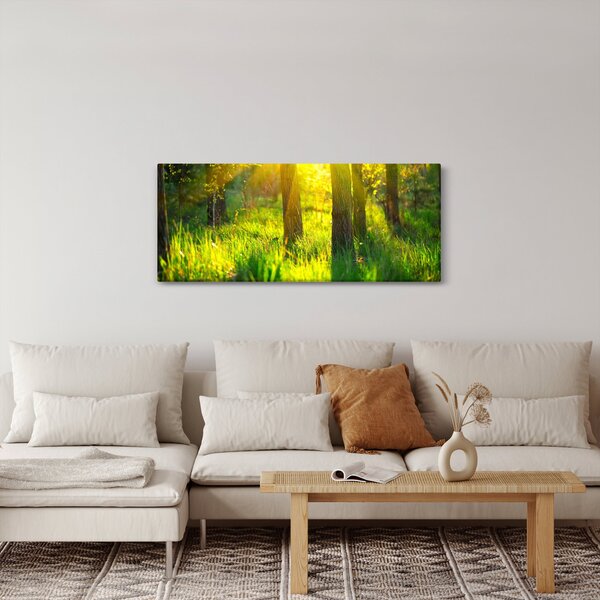 Obraz - Jarné prebúdzanie lesa (120x50 cm)