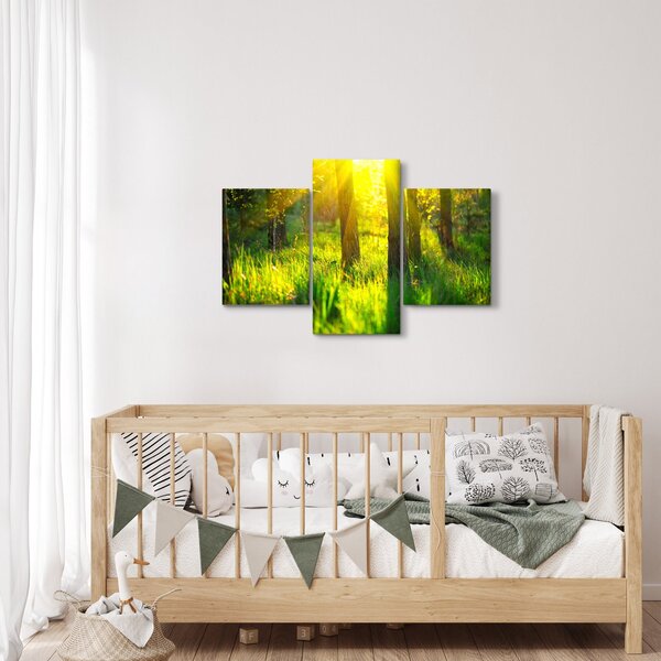 Obraz - Jarné prebúdzanie lesa (90x60 cm)