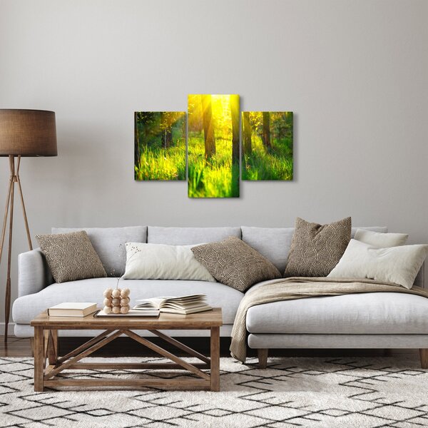 Obraz - Jarné prebúdzanie lesa (90x60 cm)