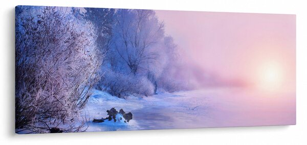 Obraz - Zamrznutá rieka (120x50 cm)