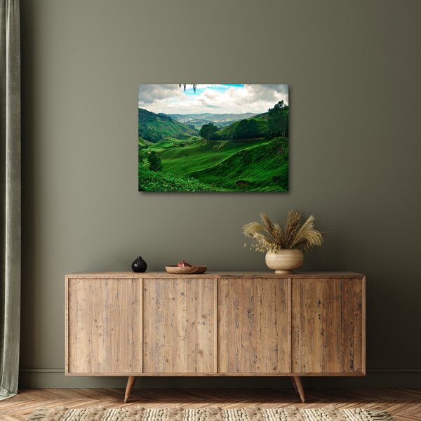Obraz - Čajové plantáže v Malajzii (70x50 cm)