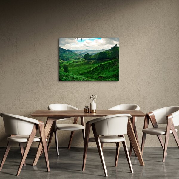 Obraz - Čajové plantáže v Malajzii (70x50 cm)