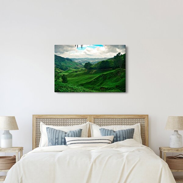 Obraz - Čajové plantáže v Malajzii (90x60 cm)