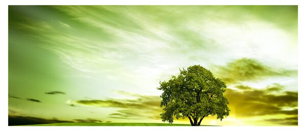Obraz - Strom života (120x50 cm)