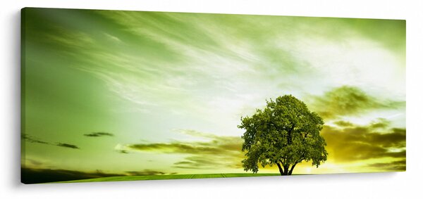 Obraz - Strom života (120x50 cm)