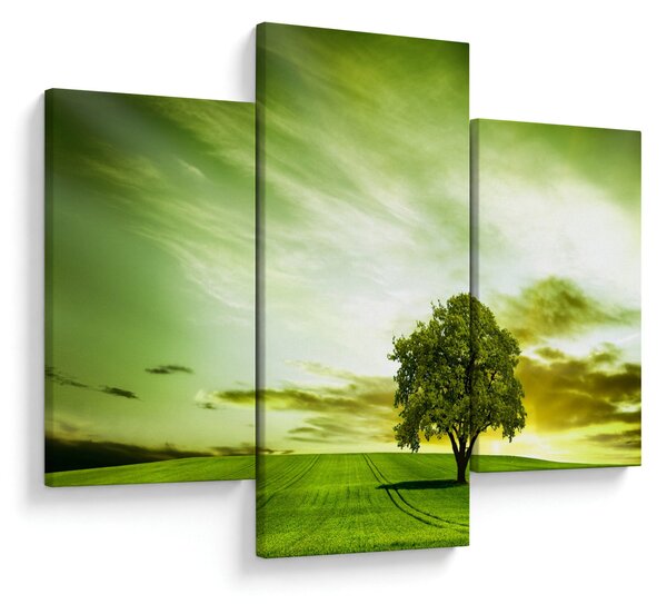 Obraz - Strom života (90x60 cm)
