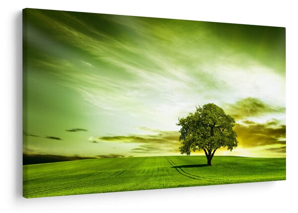 Obraz - Strom života (90x60 cm)