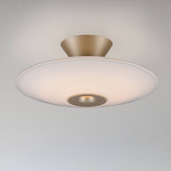 Paul Neuhaus stropné LED svetlo Elipsa, biele/bronzové, Ø 35 cm, Biela / opálová, Obývacia izba / jedáleň, Sklo