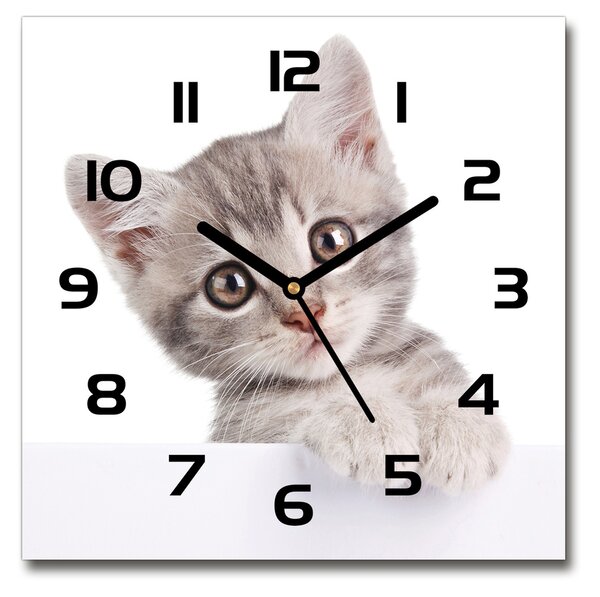 Sklenené hodiny štvorec Sivá mačka