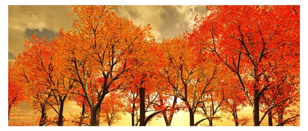 Obraz - Jeseň (120x50 cm)