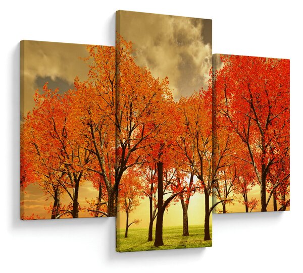 Obraz - Jeseň (90x60 cm)