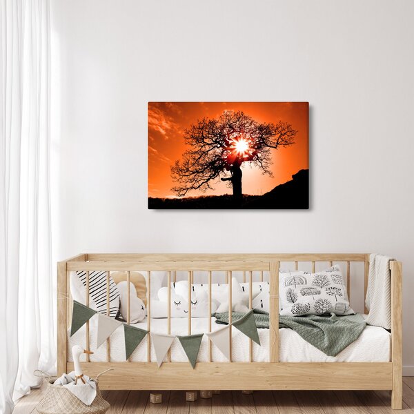 Obraz - Dub pri západe slnka (90x60 cm)