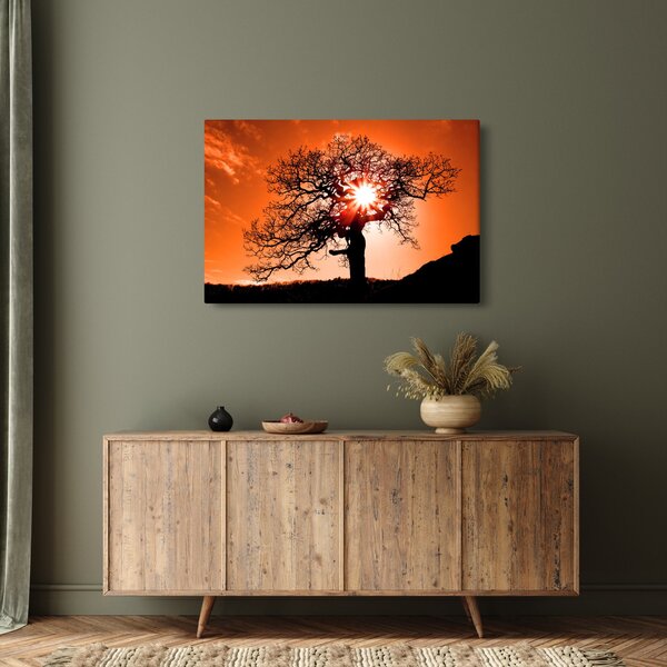 Obraz - Dub pri západe slnka (90x60 cm)