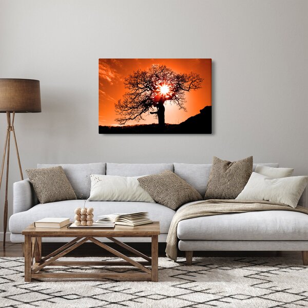 Obraz - Dub pri západe slnka (90x60 cm)