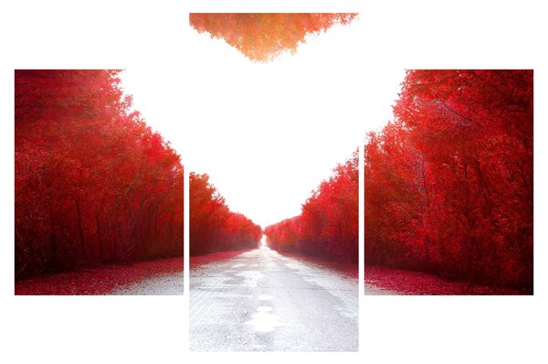 Obraz - Cesta k láske (90x60 cm)