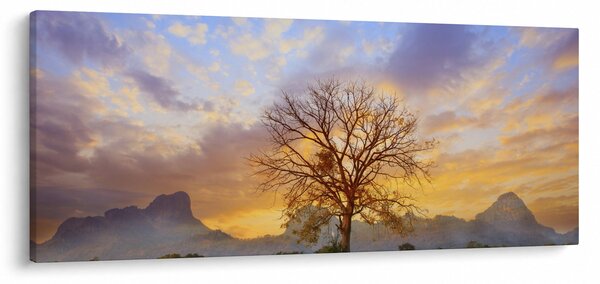 Obraz - Krajina so slnečnicami (120x50 cm)