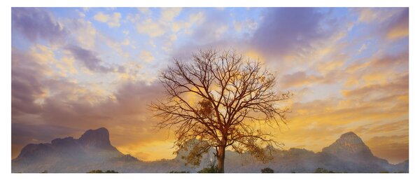 Obraz - Krajina so slnečnicami (120x50 cm)