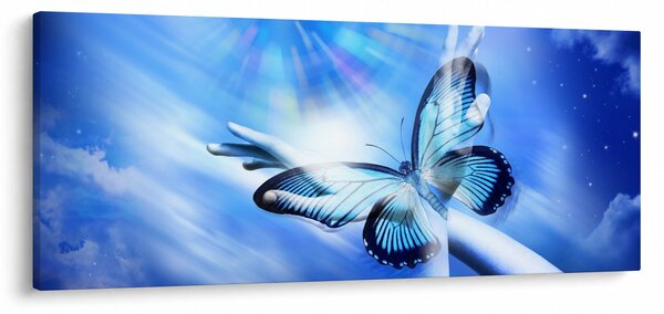 Obraz - Motýľ, symbol nádeje (120x50 cm)