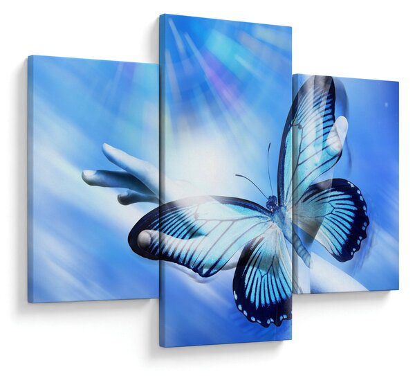 Obraz - Motýľ, symbol nádeje (90x60 cm)