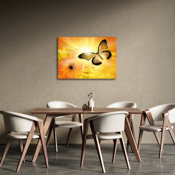 Obraz - Žltý motýľ s kvetom (70x50 cm)