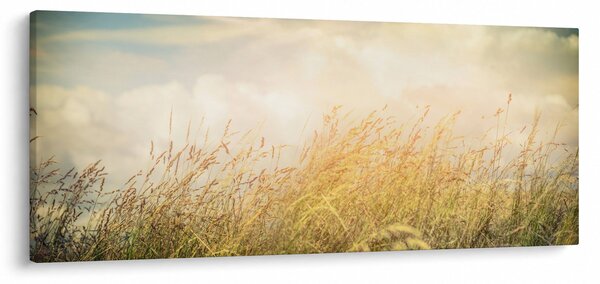 Obraz - Pole na jeseň (120x50 cm)