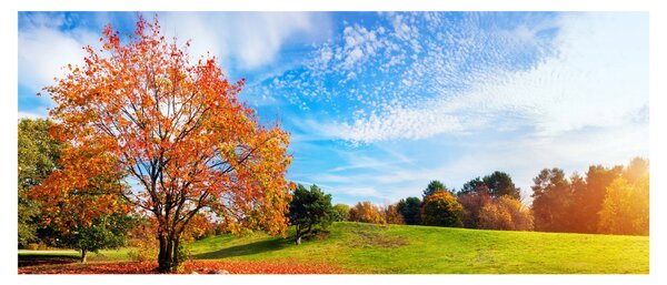 Obraz - Jesenná krajina (120x50 cm)