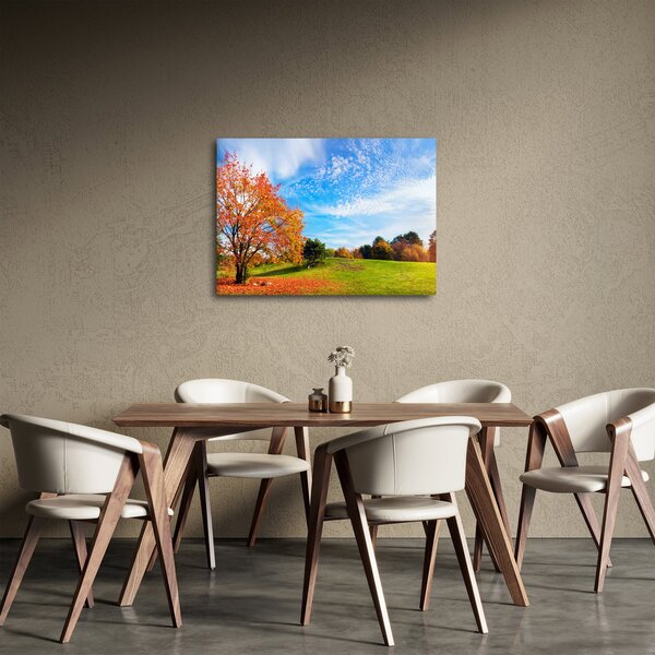 Obraz - Jesenná krajina (70x50 cm)