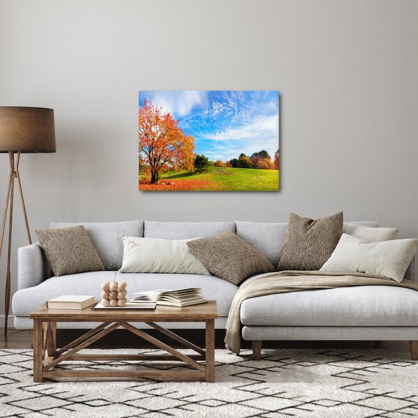 Obraz - Jesenná krajina (70x50 cm)