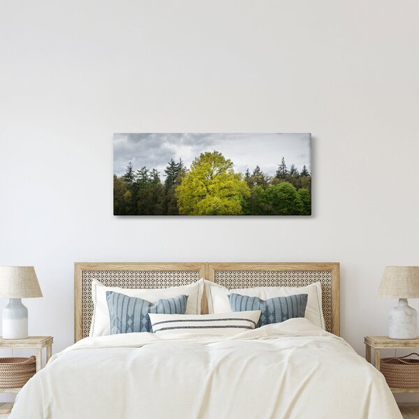Obraz zeleného stromu uprostred poľa (120x50 cm)