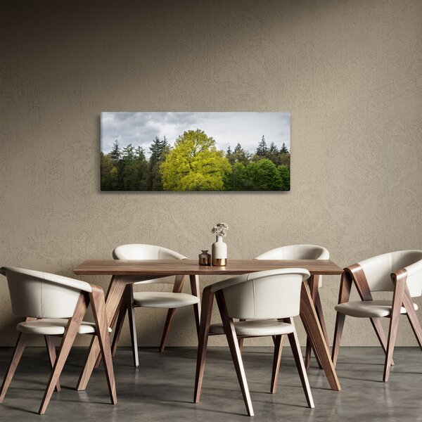 Obraz zeleného stromu uprostred poľa (120x50 cm)