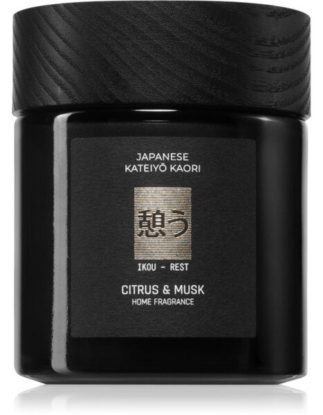 Vila Hermanos Apothecary Japanese Rest vonná sviečka 150 g