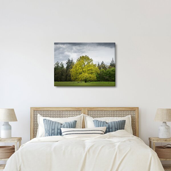 Obraz zeleného stromu uprostred poľa (70x50 cm)