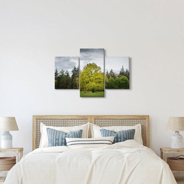 Obraz zeleného stromu uprostred poľa (90x60 cm)